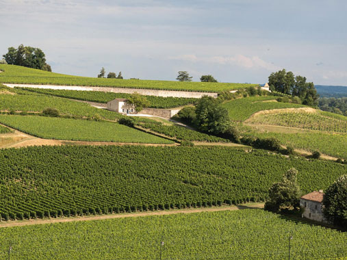 Château Graves de Rabion