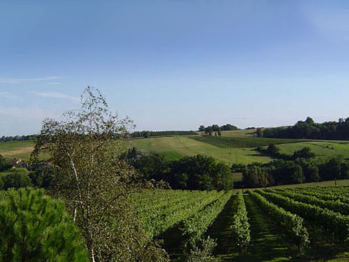 Château Lary Tagot