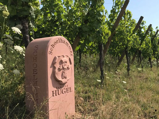 Famille Hugel