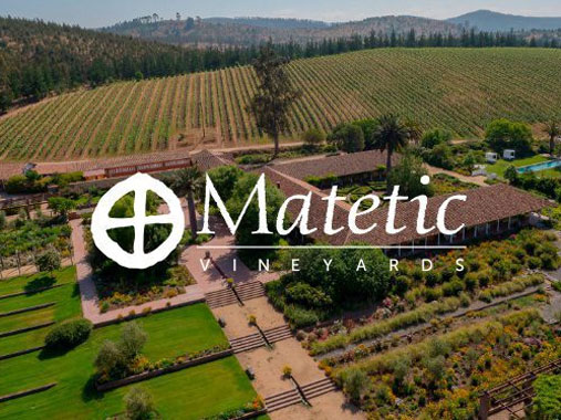 Matetic Vineyards